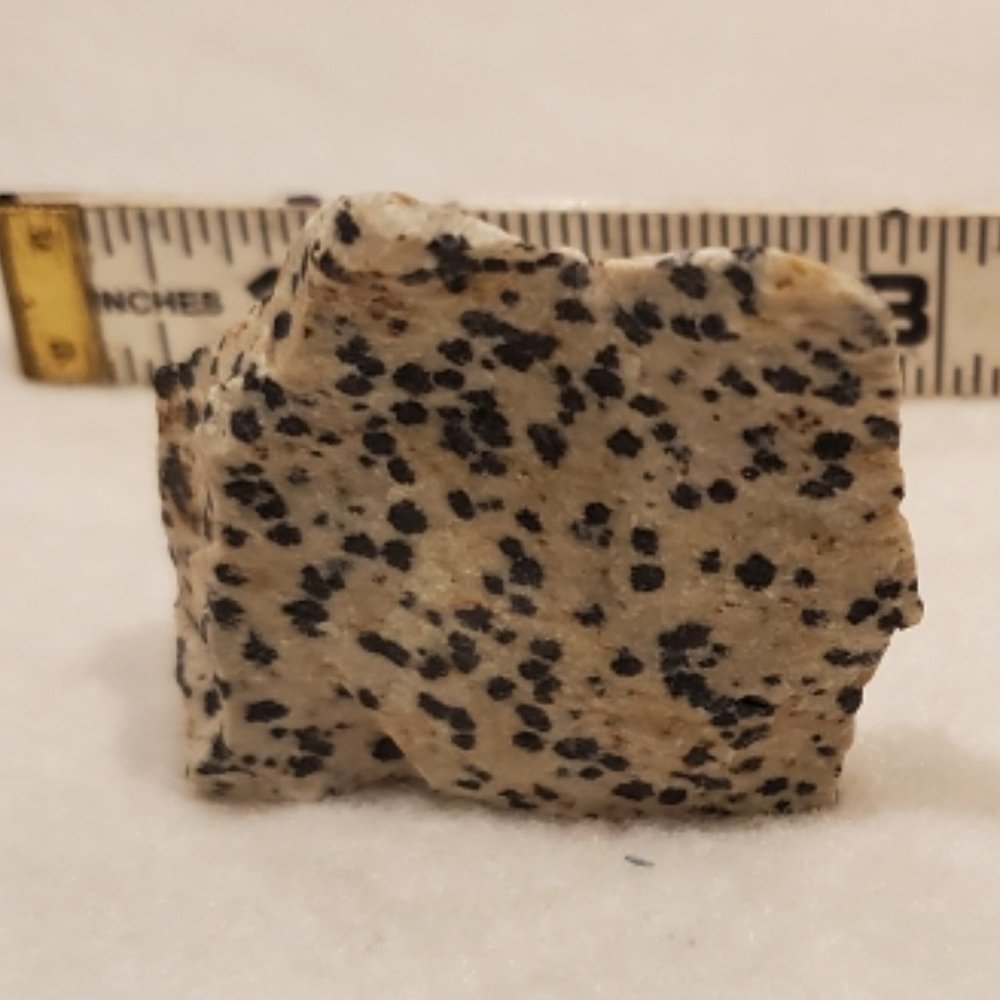 Natural Raw Dalmatian Jasper Gemstone  #1 Stone